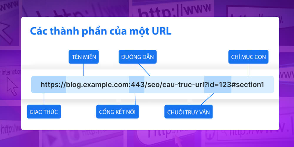 Cấu trúc URL 