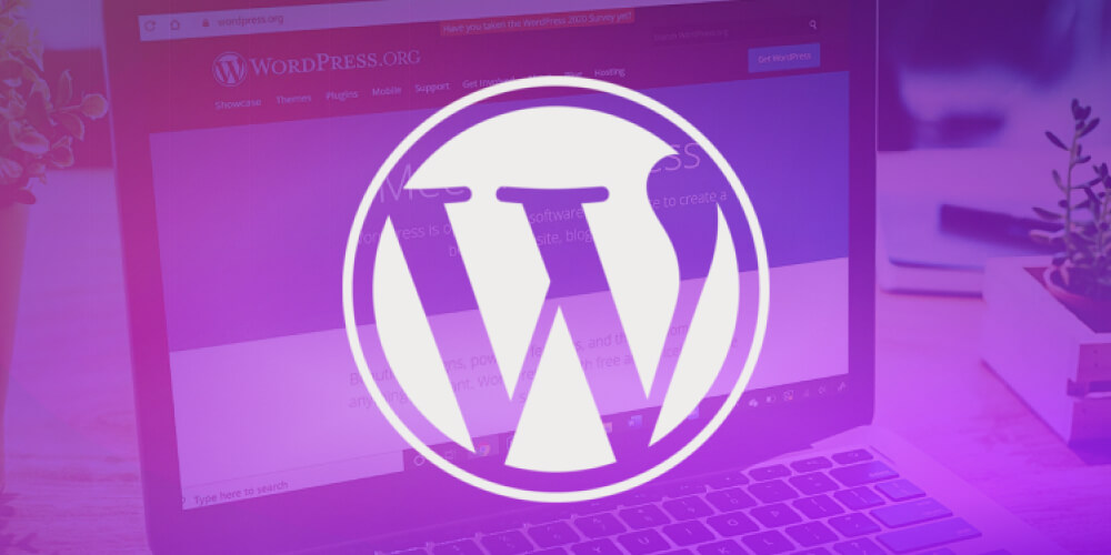 nền tảng WordPress