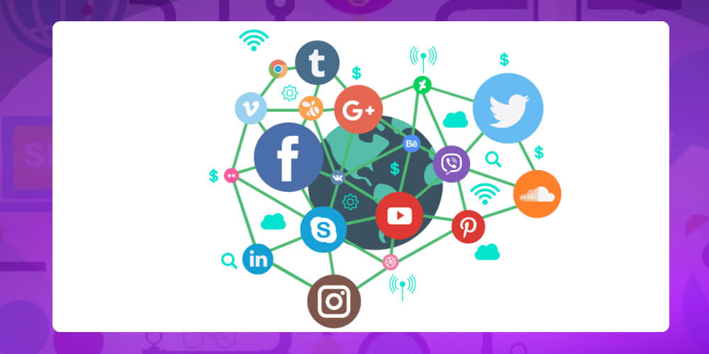 SEO Entity liên quan