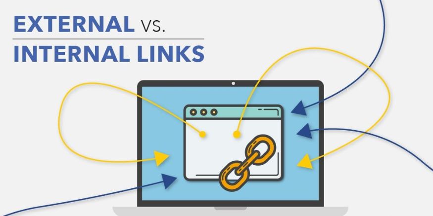 Internal và External Link