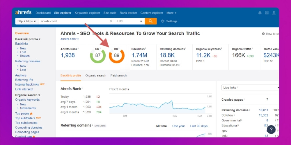 Ý nghĩa của domain rating trong SEO