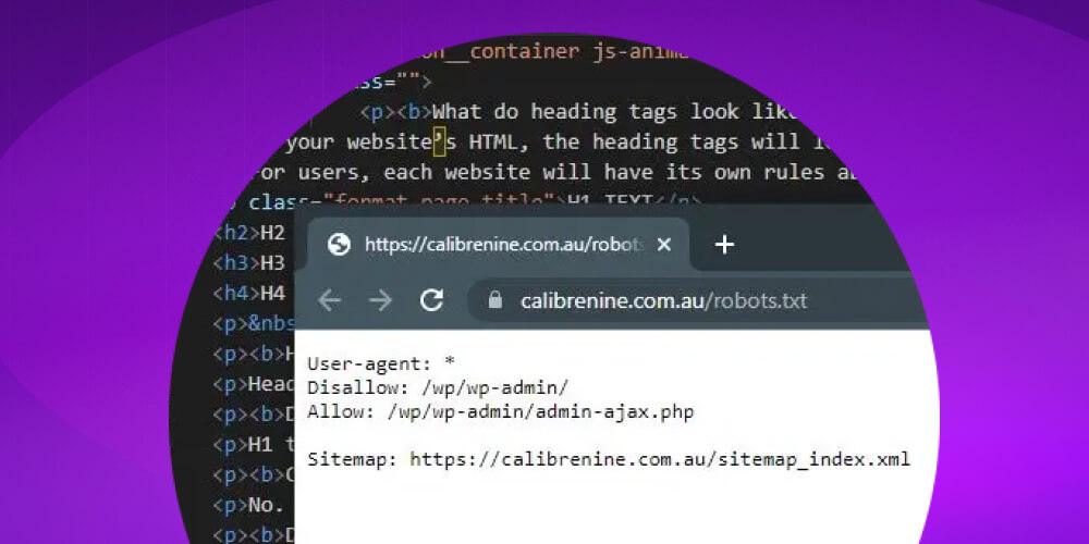 Lợi ích  file robots.txt