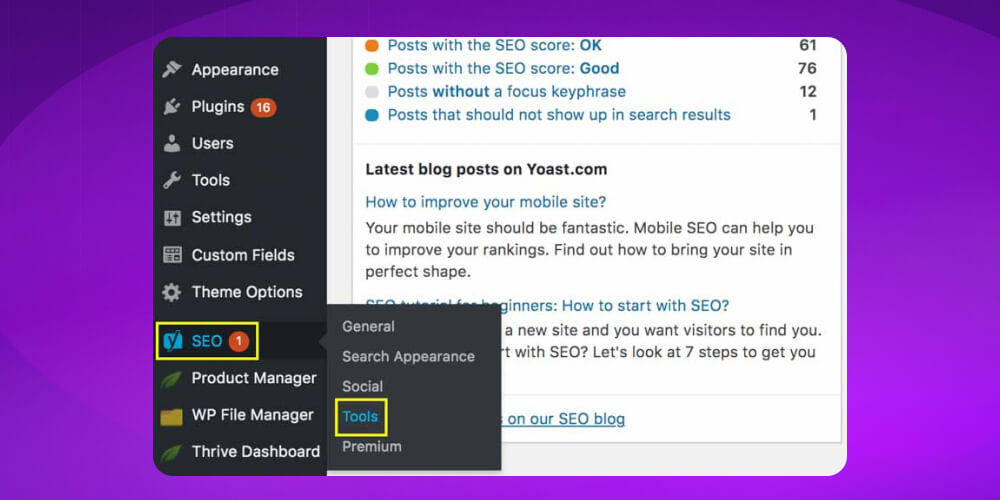 Vào mục SEO → Tools 