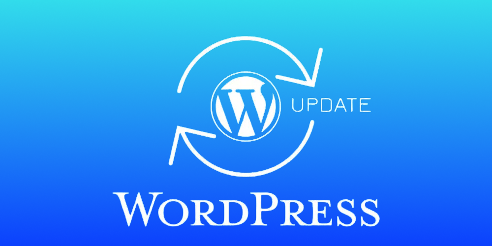 Update theme và plugin wordpress