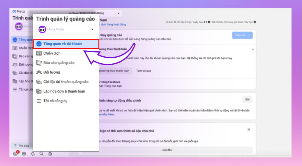 Bước xem tổng quan về tài khoản quảng cáo