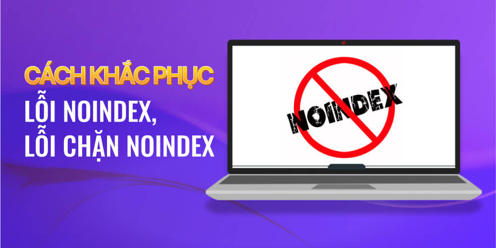 Hướng dẫn cách khắc phục lỗi noindex là gì