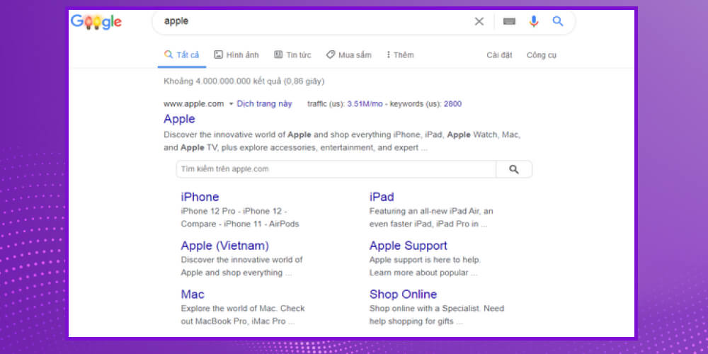 Organic sitelink search box (sitelink tự nhiên dạng box)