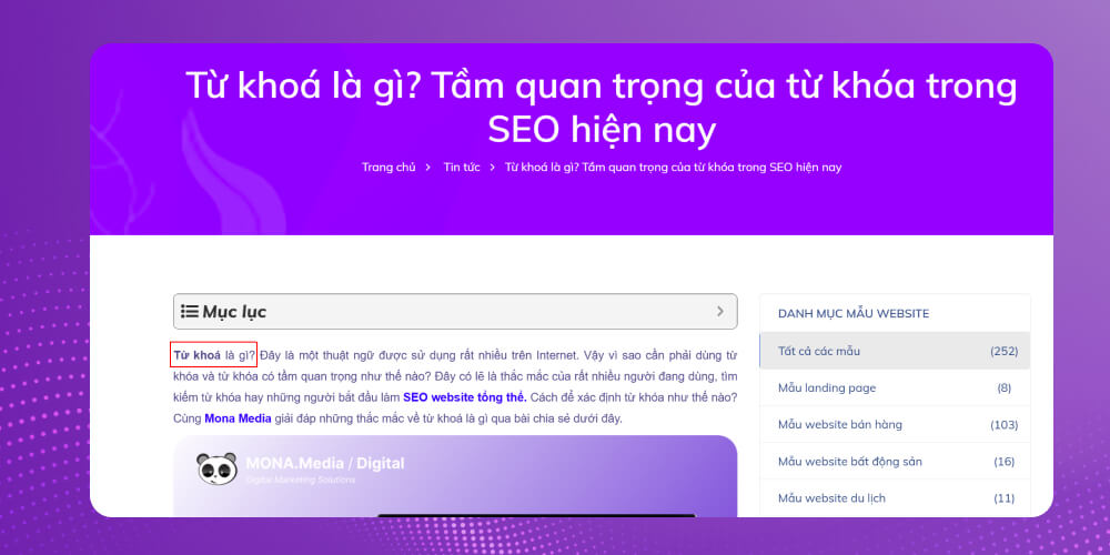 Vị trí 4: Đoạn mở đầu bài viết