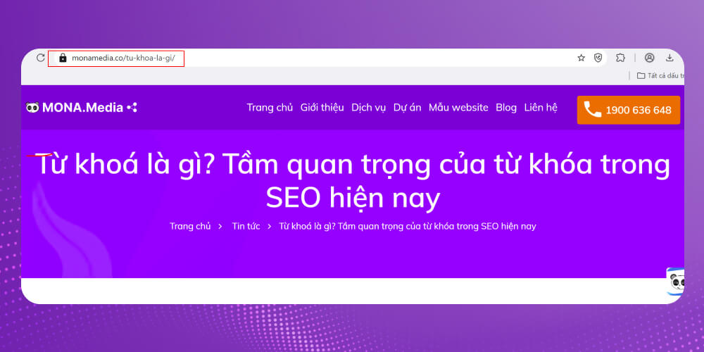 Vị trí 6: URL