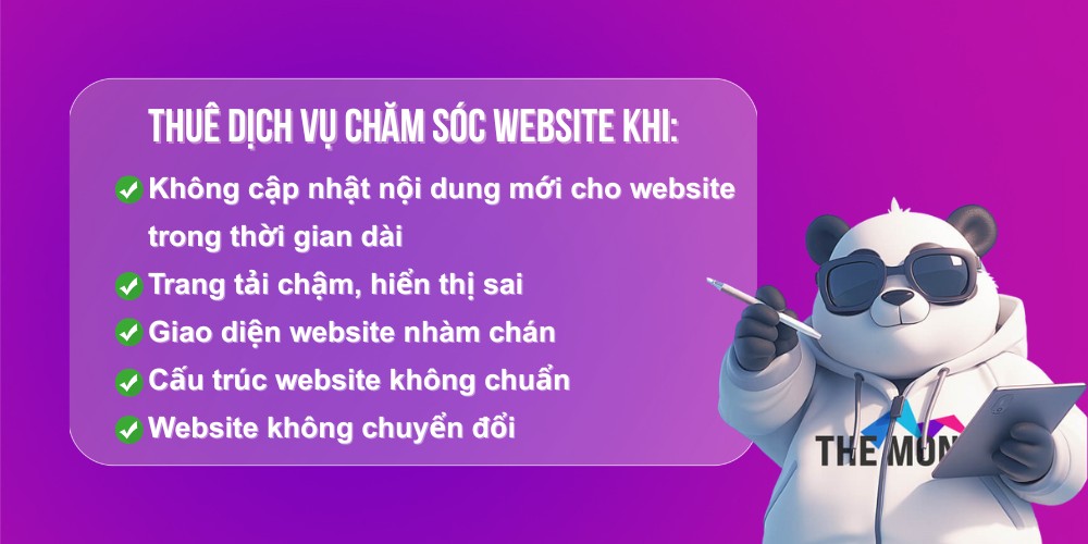 Thời điểm nên sử dụng dịch vụ chăm sóc website