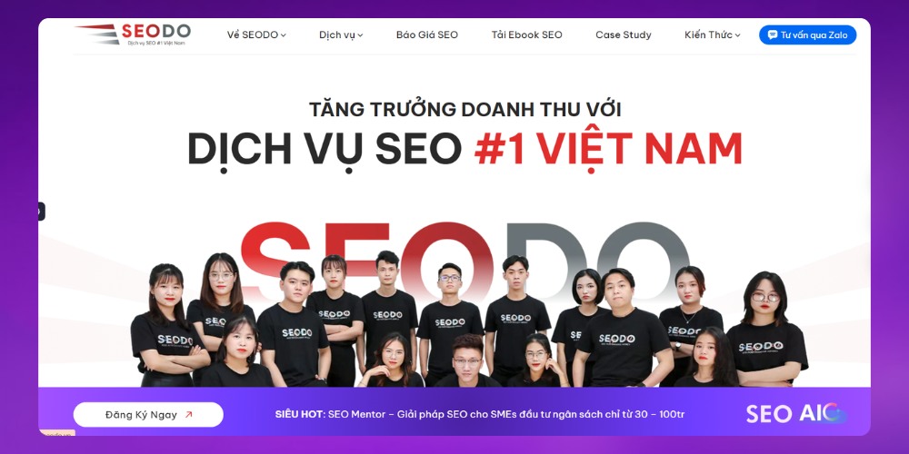 SEO Agency SEODO